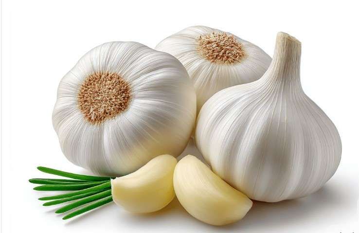 Bawang Putih